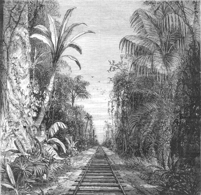 View on the road from Nuevitas to Puerto Del Principe, Cuba