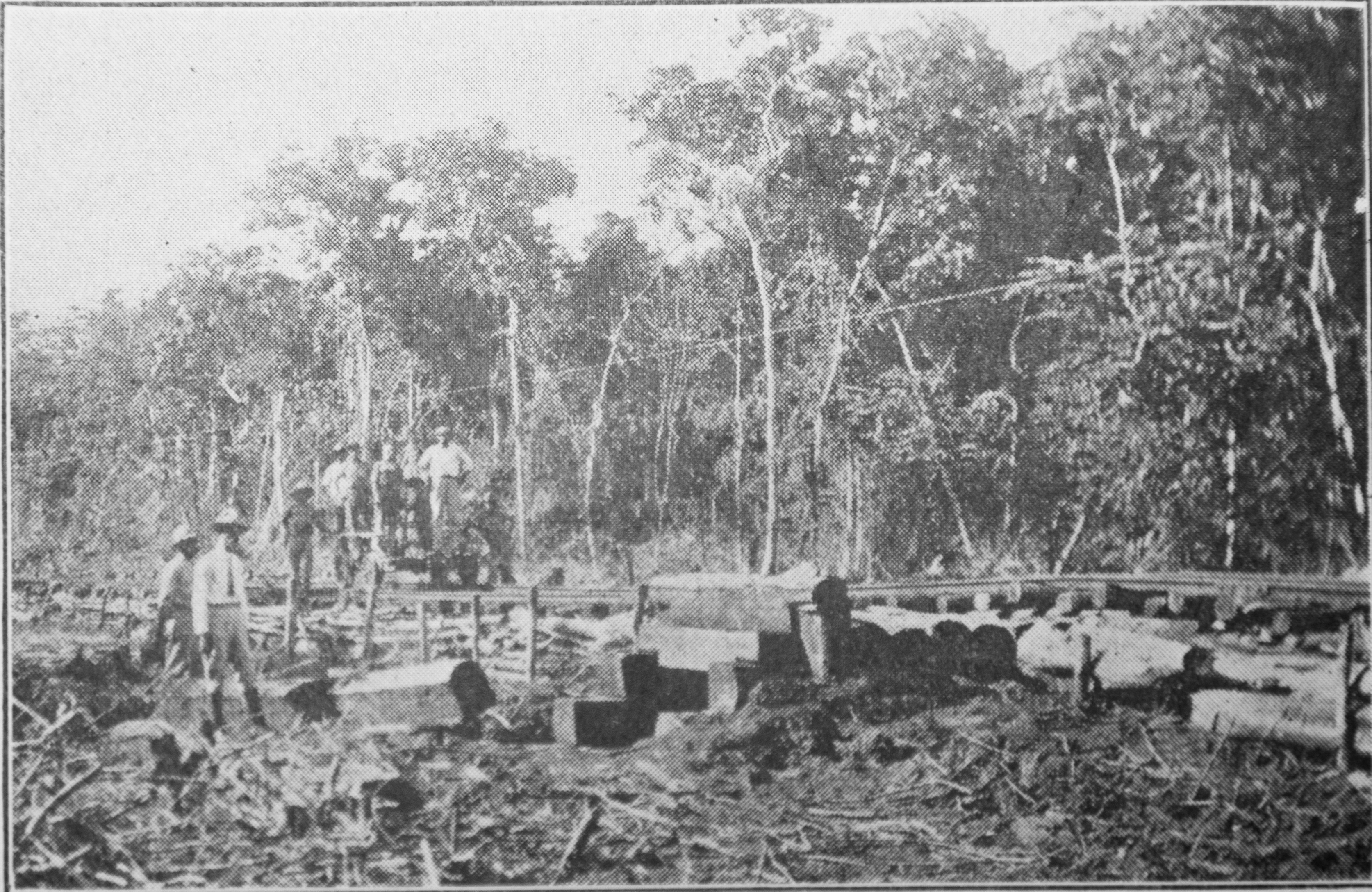 Mahogany Was Largely Used for Box Culvert Construction